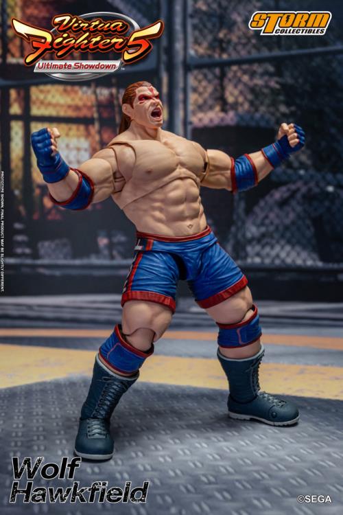 Virtua Fighter 5 Wolf Hawkfield 1/12 Scale Action Figure