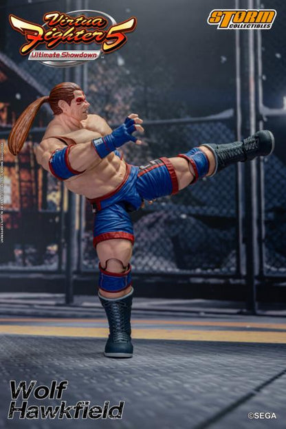 Virtua Fighter 5 Wolf Hawkfield 1/12 Scale Action Figure