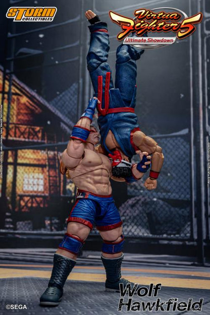 Virtua Fighter 5 Wolf Hawkfield 1/12 Scale Action Figure