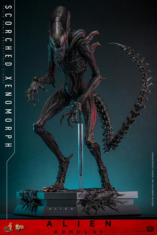 Pre-Order -Alien: Romulus MMS784 Scorched Xenomorph 1/6th Scale Collectible Figure