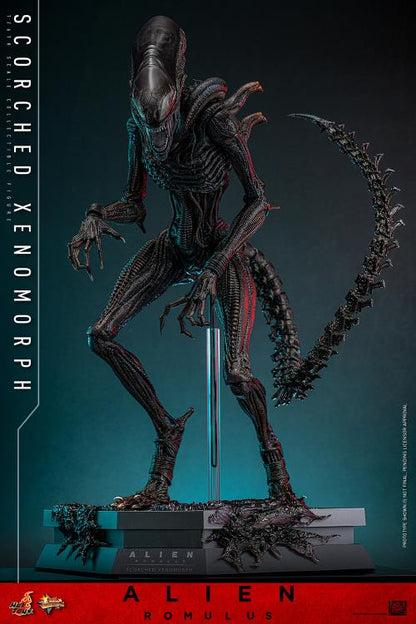 Pre-Order -Alien: Romulus MMS784 Scorched Xenomorph 1/6th Scale Collectible Figure