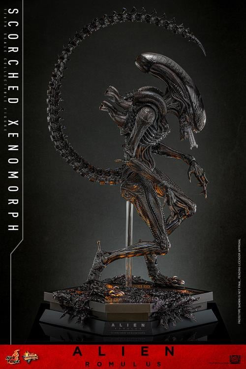 Pre-Order -Alien: Romulus MMS784 Scorched Xenomorph 1/6th Scale Collectible Figure