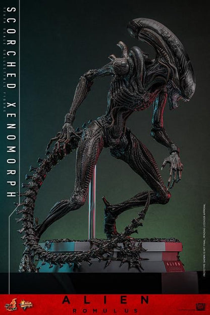 Pre-Order -Alien: Romulus MMS784 Scorched Xenomorph 1/6th Scale Collectible Figure