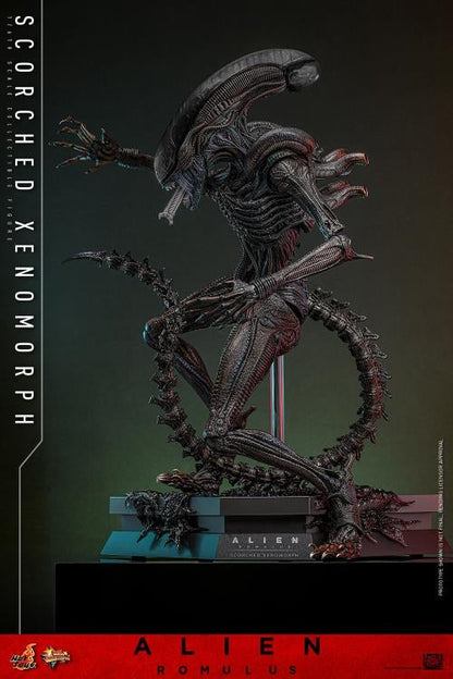 Pre-Order -Alien: Romulus MMS784 Scorched Xenomorph 1/6th Scale Collectible Figure