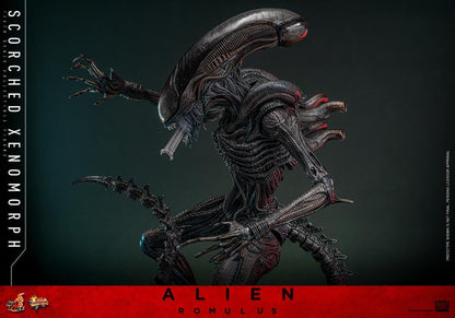 Pre-Order -Alien: Romulus MMS784 Scorched Xenomorph 1/6th Scale Collectible Figure