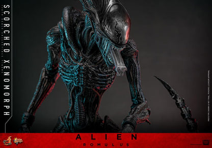 Pre-Order -Alien: Romulus MMS784 Scorched Xenomorph 1/6th Scale Collectible Figure