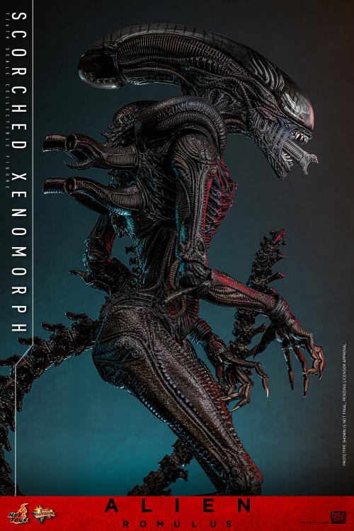 Pre-Order -Alien: Romulus MMS784 Scorched Xenomorph 1/6th Scale Collectible Figure