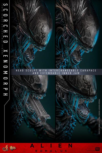 Pre-Order -Alien: Romulus MMS784 Scorched Xenomorph 1/6th Scale Collectible Figure