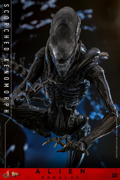 Pre-Order -Alien: Romulus MMS784 Scorched Xenomorph 1/6th Scale Collectible Figure