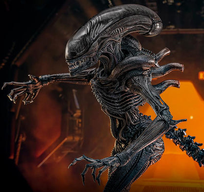 Pre-Order -Alien: Romulus MMS784 Scorched Xenomorph 1/6th Scale Collectible Figure