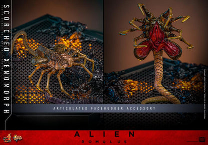 Pre-Order -Alien: Romulus MMS784 Scorched Xenomorph 1/6th Scale Collectible Figure