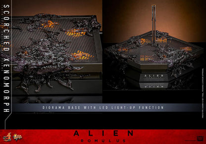 Pre-Order -Alien: Romulus MMS784 Scorched Xenomorph 1/6th Scale Collectible Figure