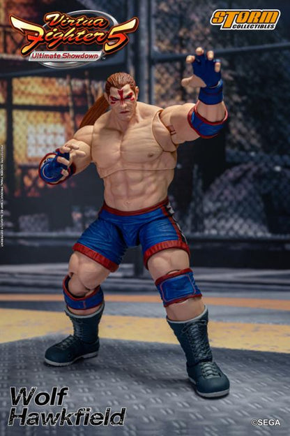 Virtua Fighter 5 Wolf Hawkfield 1/12 Scale Action Figure